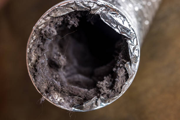 Best Affordable HVAC Duct Cleaning  in Spring Valley Lake, CA