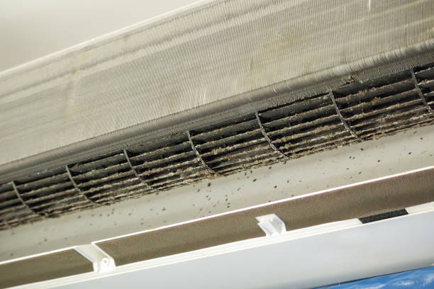 Best Commercial Air Duct Cleaning  in Spring Valley Lake, CA